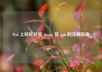 Pad 上轻松安装 Steam 及 apk 的详细指南