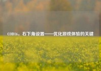 COD16，右下角设置——优化游戏体验的关键