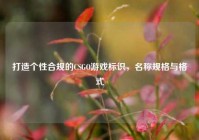 打造个性合规的CSGO游戏标识，名称规格与格式