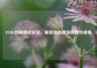 PUBG切换观战玩家，解锁洞悉战场的独特视角
