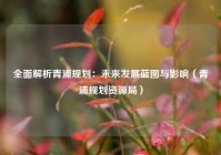 全面解析青浦规划：未来发展蓝图与影响（青浦规划资源局）