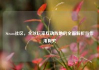 Steam社区，全球玩家互动阵地的全面解析与作用探究