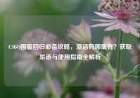 CSGO国服回归必备攻略，激活码哪里有？获取渠道与使用指南全解析