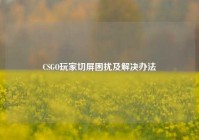 CSGO玩家切屏困扰及解决办法