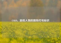 CSGO，游戏人物的独特代号标识