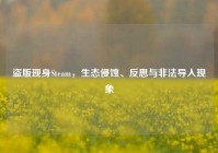 盗版现身Steam，生态侵蚀、反思与非法导入现象