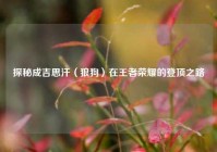 探秘成吉思汗（狼狗）在王者荣耀的登顶之路