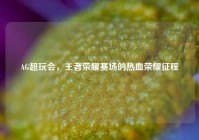 AG超玩会，王者荣耀赛场的热血荣耀征程