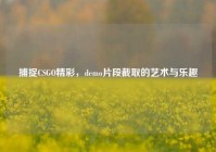 捕捉CSGO精彩，demo片段截取的艺术与乐趣