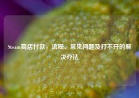 Steam商店付款，流程、常见问题及打不开的解决办法