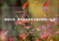 穿越火线，探究眼眸中的火线征程与CFS含义