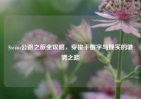 Steam公路之旅全攻略，穿梭于数字与现实的驰骋之路