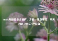 Steam外服登录全解析，步骤、注意事项、常见问题及相关APP指南