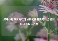 关于CF过第三方软件加载的重要说明，合规游戏才是长久之道