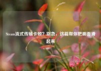 Steam流式传输卡顿？别急，这篇帮你把画面滑起来