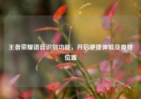 王者荣耀语音识别功能，开启便捷体验及查找位置