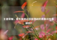 王者荣耀，靠专属峡谷技能镌刻的青春符号有哪些？