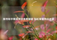 探寻和平精英物资查看秘籍 轻松掌握物品状况