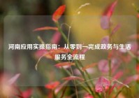 河南应用实操指南：从零到一完成政务与生活服务全流程