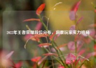 2022年王者荣耀段位分布，洞察玩家实力格局
