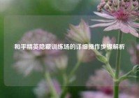 和平精英隐藏训练场的详细操作步骤解析