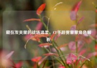 藏在发夹里的战场温柔，CF手游雾蒙蒙角色解析