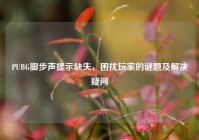 PUBG脚步声提示缺失，困扰玩家的谜题及解决疑问
