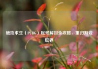绝地求生（PUBG）账号解封全攻略，重归游戏世界