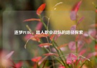 逐梦PUBG，踏入职业战队的路径探索