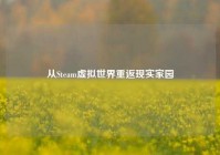 从Steam虚拟世界重返现实家园