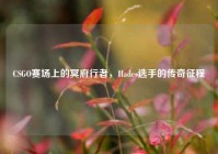CSGO赛场上的冥府行者，Hades选手的传奇征程