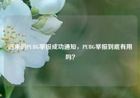 迟来的PUBG举报成功通知，PUBG举报到底有用吗？