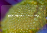我的CSGO诗人队友，CSGO Spirit队员