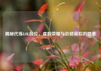 揭秘代练LOL段位，虚假荣耀与价格背后的隐患