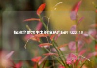 探秘绝地求生中的神秘代码PUBG5815.B