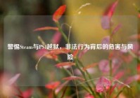 警惕Steam与PS4越狱，非法行为背后的危害与风险