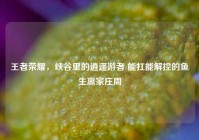 王者荣耀，峡谷里的逍遥游者 能扛能解控的鱼生赢家庄周