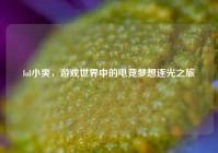 lol小爽，游戏世界中的电竞梦想逐光之旅