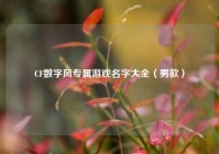 CF数字风专属游戏名字大全（男款）