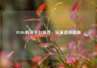 PUBG购买平台探寻，玩家选择指南