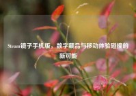Steam镜子手机版，数字藏品与移动体验碰撞的新可能