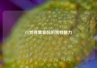 CF世界里紫悦的独特魅力