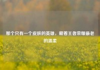那个只有一个皮肤的英雄，藏着王者荣耀最老的温柔