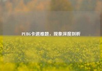 PUBG卡退难题，现象深度剖析