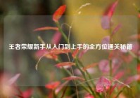王者荣耀新手从入门到上手的全方位通关秘籍
