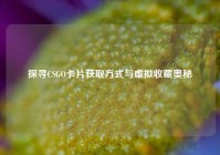探寻CSGO卡片获取方式与虚拟收藏奥秘