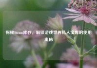 探秘Steam库存，解锁游戏世界私人宝库的使用奥秘