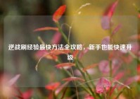 逆战刷经验最快方法全攻略，新手也能快速升级