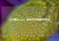 CSGO里Deeznut，游戏文化的独特符号