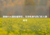探秘PUBG国际服野区，生存机遇与热门区人数探寻